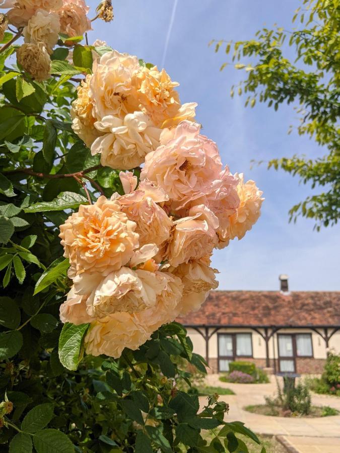 Kingfisher Barn B&B Abingdon-on-Thames Exterior foto